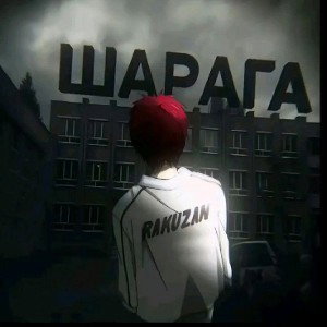 На белом покрывле января