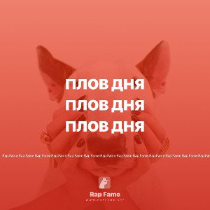 плов дня 