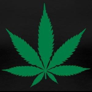 M S DISS reg denn Präsident nicht auf🍁😤
