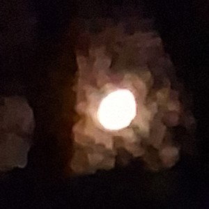 midnight 1