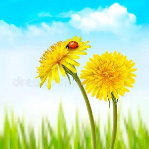 Spring Forth Like Dandelions!