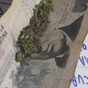 Fuck shit