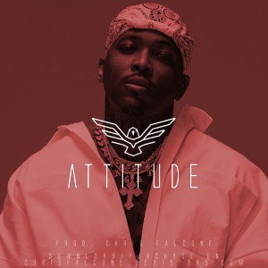 Attitude