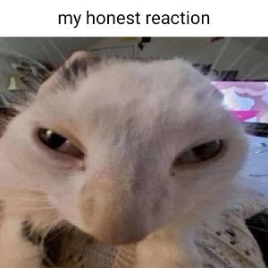 ur mom