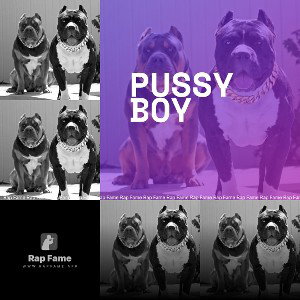 pussy boy