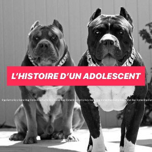 L’histoire d’un adolescent 