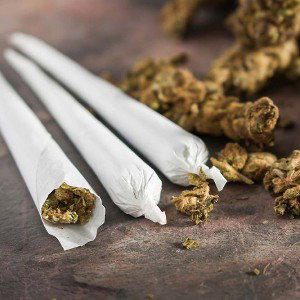 Marijuana weed ¥#Lawrence