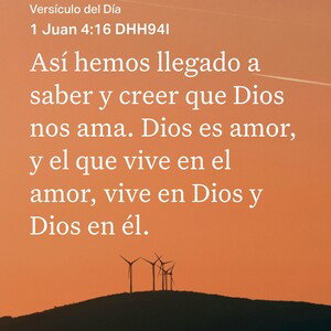 Palabras 