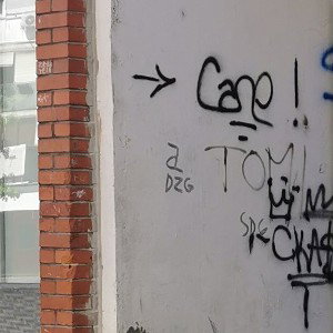 dZG