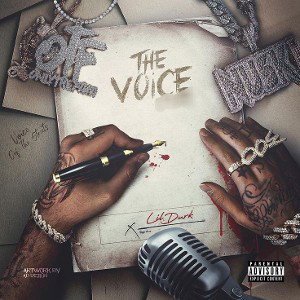   THE VOICE CODE 1