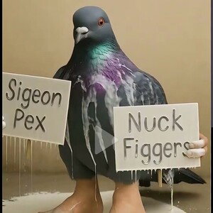 SIGEON PEX