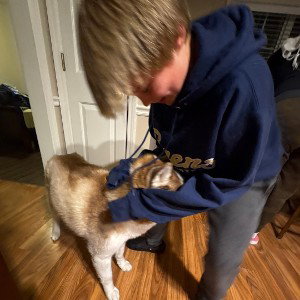 I had sex with my dog pt.2