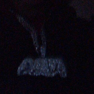 Chains on 