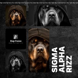 sigma alpha rizz 