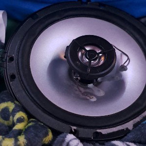 speaker 