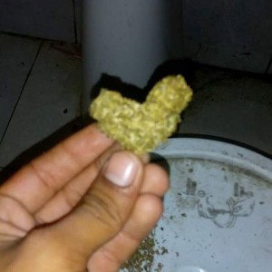 ambiciónes 