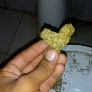smoking weed