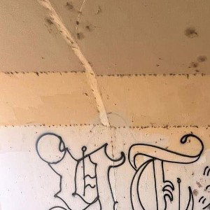 FREESTYLE #3