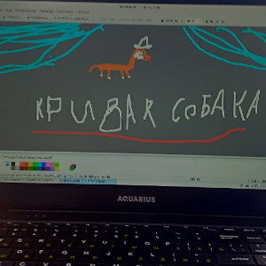 кривая машина и собака