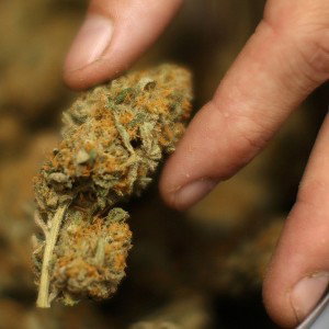 GANJA TRAIN 