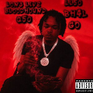 LL50 (Long Live BloodHound Q50 Album)