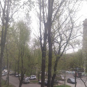 Жизнь трудна это точно