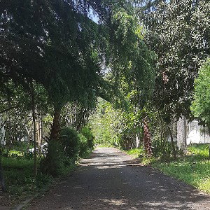 خشاب آماده