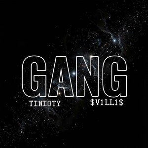 GANG (feat. $V1LL1$)