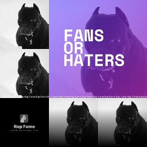 fans or haters