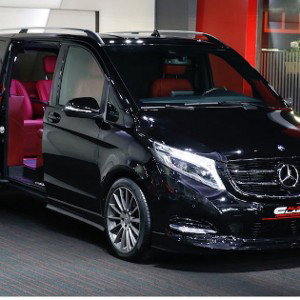 LDZ_Viny Le V - Viano3