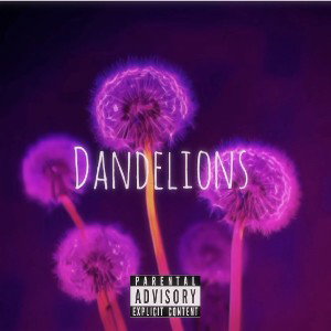 💜Dandelions💜