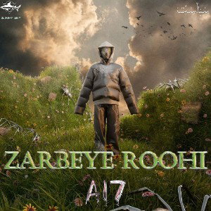 Zarbeye Roohi