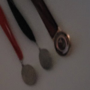 MEDALS FT LAUDERDALE