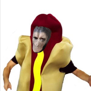 hotdog 