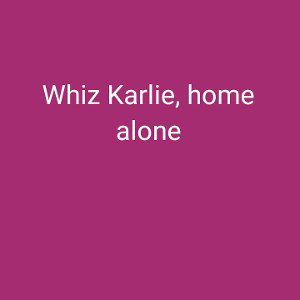 home alone 
