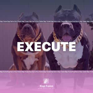 Execute 