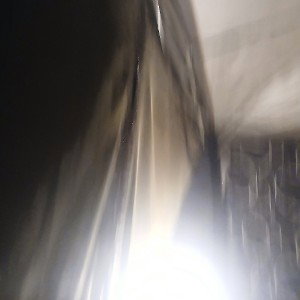 freestyle 
