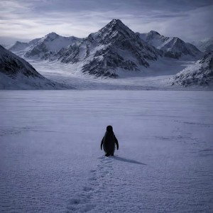 It's cold world
