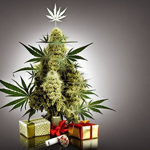 24 de Diciembre