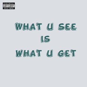 what u see is what u get 
