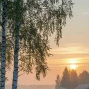 летний хит 