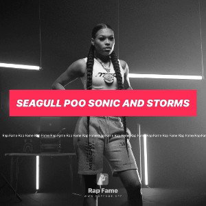 seagull poo sonic and storms