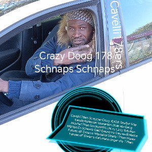 Cavelli178ers vvs mixture of Paccto Scrapper Kamilmien Crazy.€€€ Vice viuius Got man City's stilly California high 