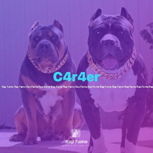 C4r4er