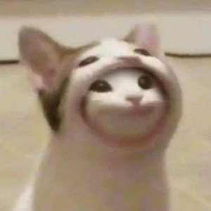чткз