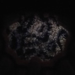 Intergalactic Playa