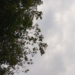 Я НЕ МОГУ