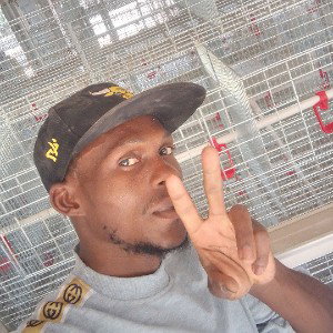 mouse eBay amou