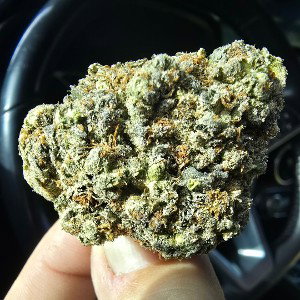 Smok' HER Azz !¡!