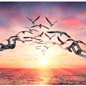 Forgiveness is a PRACTICE 